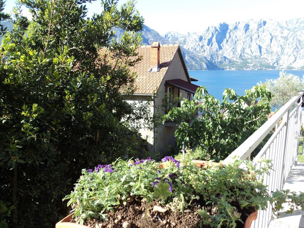 Guest House Pajovic Kotor Zewnętrze zdjęcie