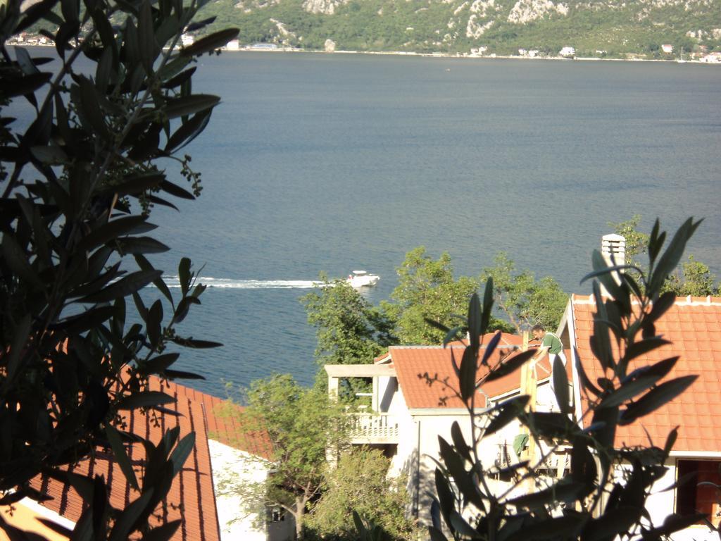 Guest House Pajovic Kotor Zewnętrze zdjęcie