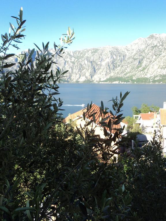 Guest House Pajovic Kotor Zewnętrze zdjęcie
